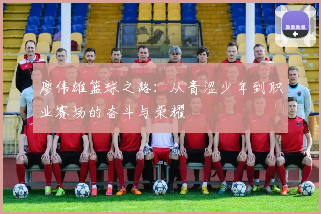 廖伟雄篮球之路：从青涩少年到职业赛场的奋斗与荣耀