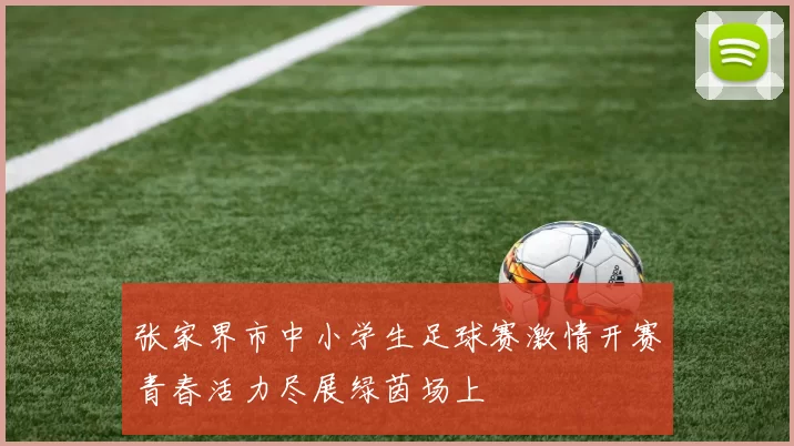 张家界市中小学生足球赛激情开赛青春活力尽展绿茵场上